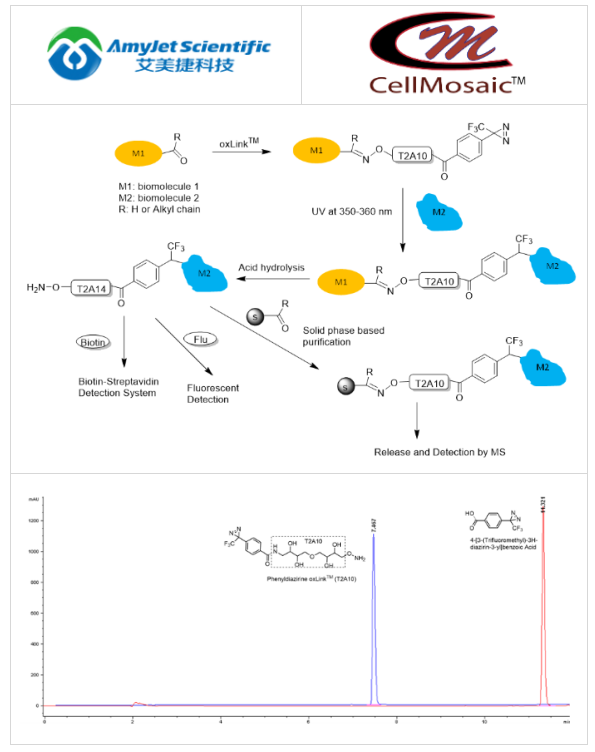 CellMosaic