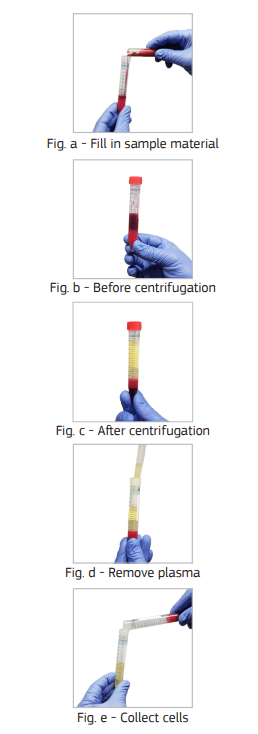 pluriMate - 15ml centrifuge tube, 50 pcs, sterile