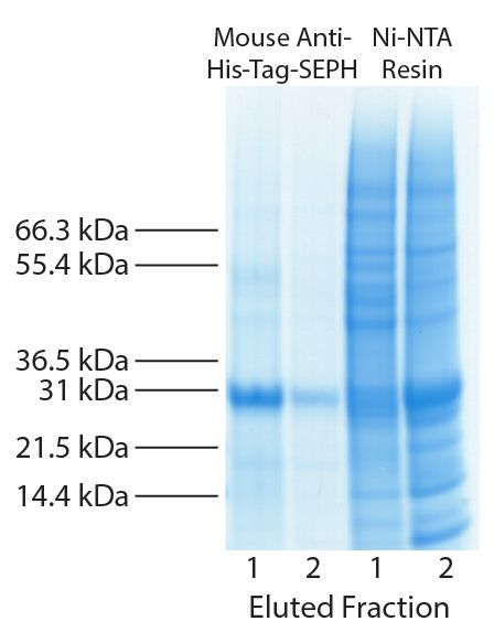 SBA-4603-25.png