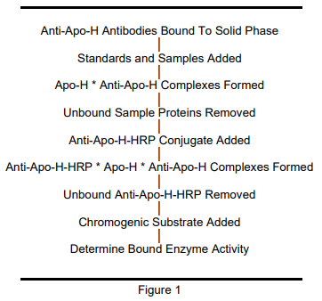 ALP-41-APOHHU-E01.png