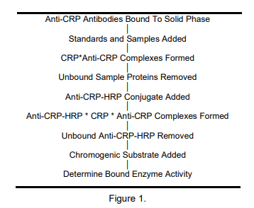 ALP-41-CRPPO-E01.png