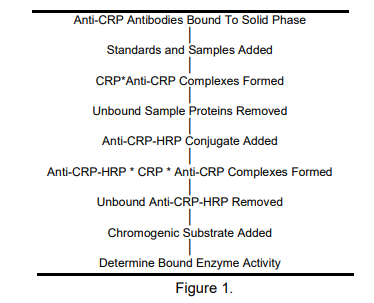 ALP-41-CRPRT-E01.png