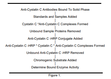 ALP-41-CYCHU-E01.png