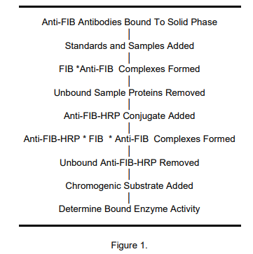 ALP-41-FIBMS-E01.png