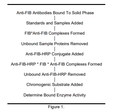 ALP-41-FIBPO-E01.png