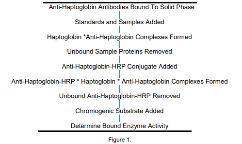 ALP-41-HAPMS-E01.png