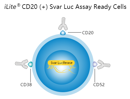 Svar Life Science-iLite