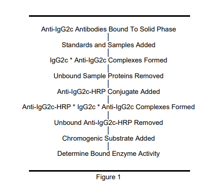 ALP-41-IGG2CMS-E01.png