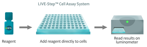 LIVE-Step? Cell Assay System-1.png