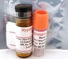 Hypoxyprobe?-CY 7