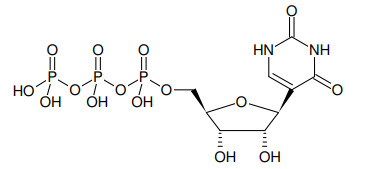 Pseudo-UTP