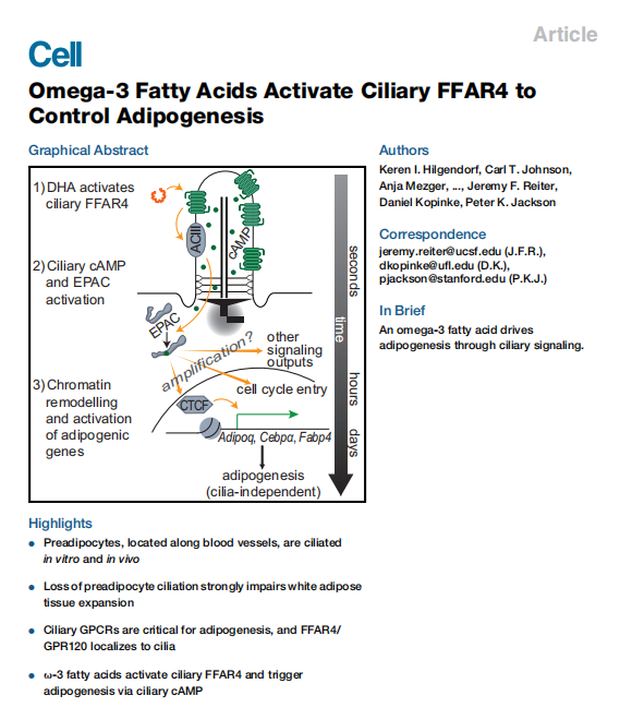 Omega-3.png