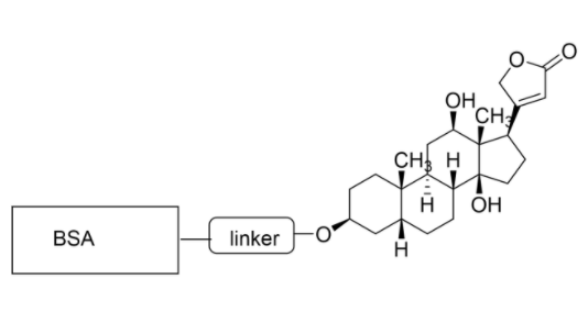 CMC-CM52107-1MG.png