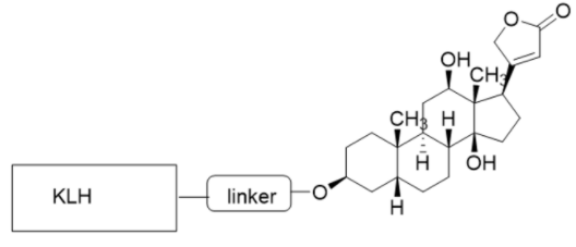 CMC-CM52108-1MG.png