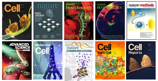 Synaptic Systems（SySy）专注于研发神经科学，细胞生物学相关抗体，以及用于免疫和癌症研究的组织病理学抗体，表观遗传研究相关抗体，同时，还提供搭配的试剂盒、试剂、荧光探针等产品