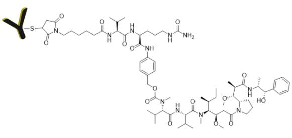 CM51100-100UG.jpg