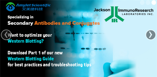 Jackson ImmunoResearch