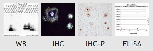 Synaptic Systems