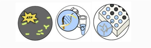 Immunoassays.jpg