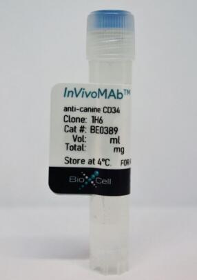 InVivoMAb anti-canine CD34/InVivoMAb抗犬CD34