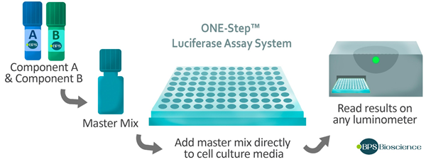 ONE-Step Luciferase Assay System.png