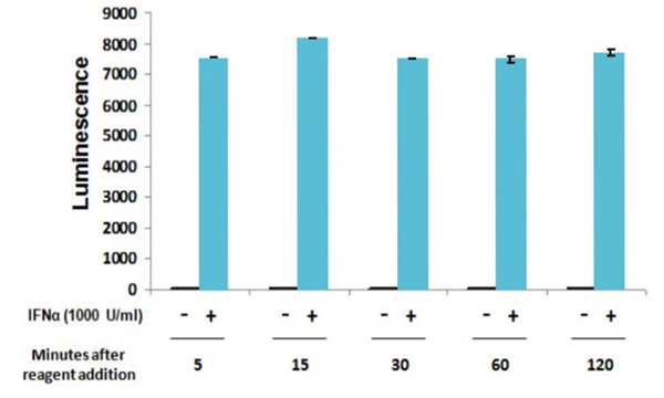 JAK丨STAT-1.png