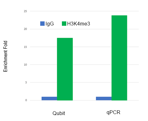 ChIP-seq.png