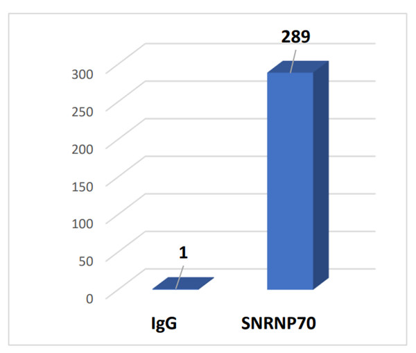 EpiNext CUT&LUNCH RNA Immunoprecipitation (RIP) Kit RNA-蛋白免疫共沉淀试剂盒