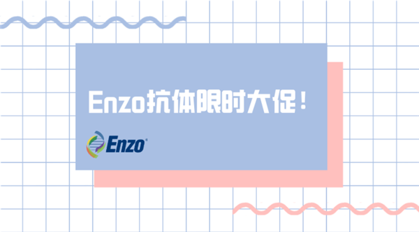 Enzo-antibody.png