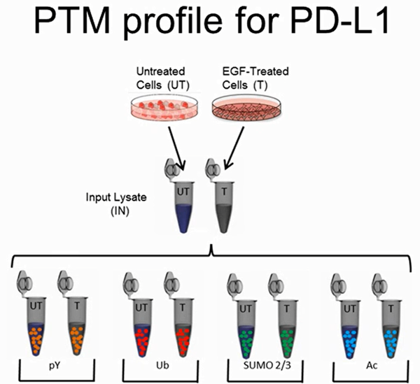 Signal-Seeker? kit.png