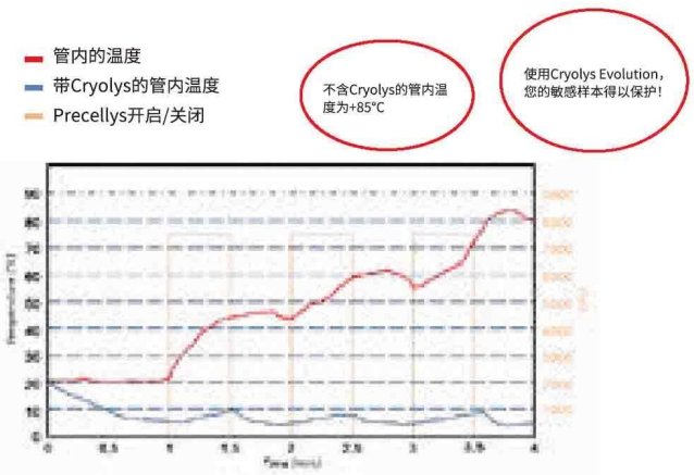 CRYOLYS EVOLUTION 冷却装置管内温度分布