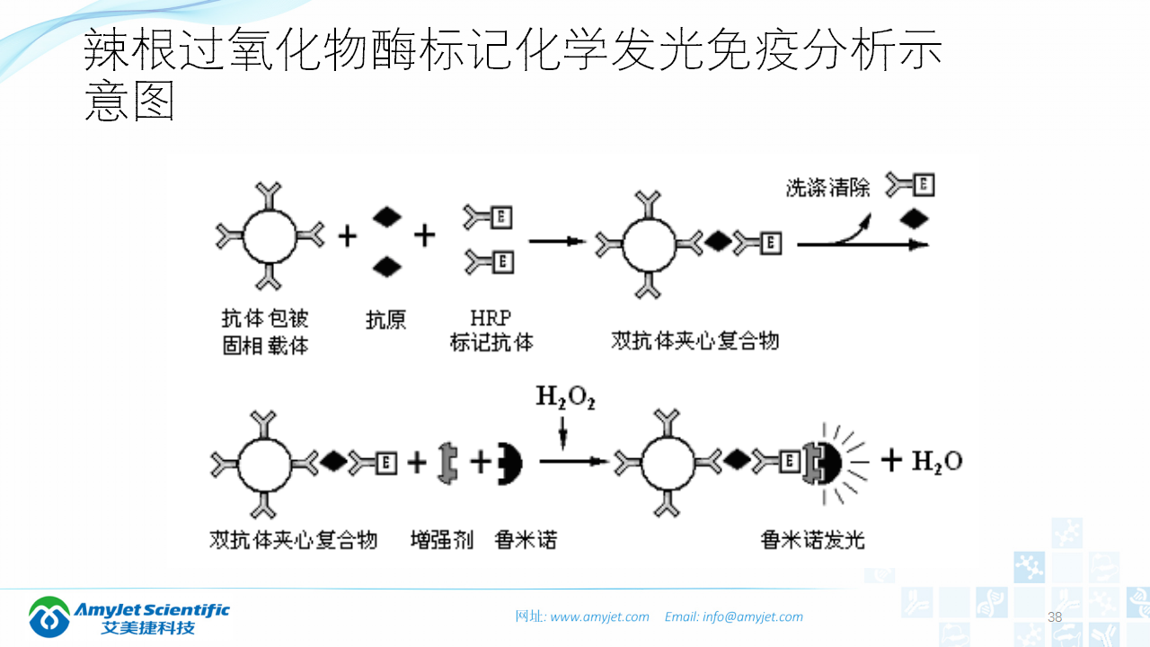 202003-体外诊断之化学发光免疫_38.png